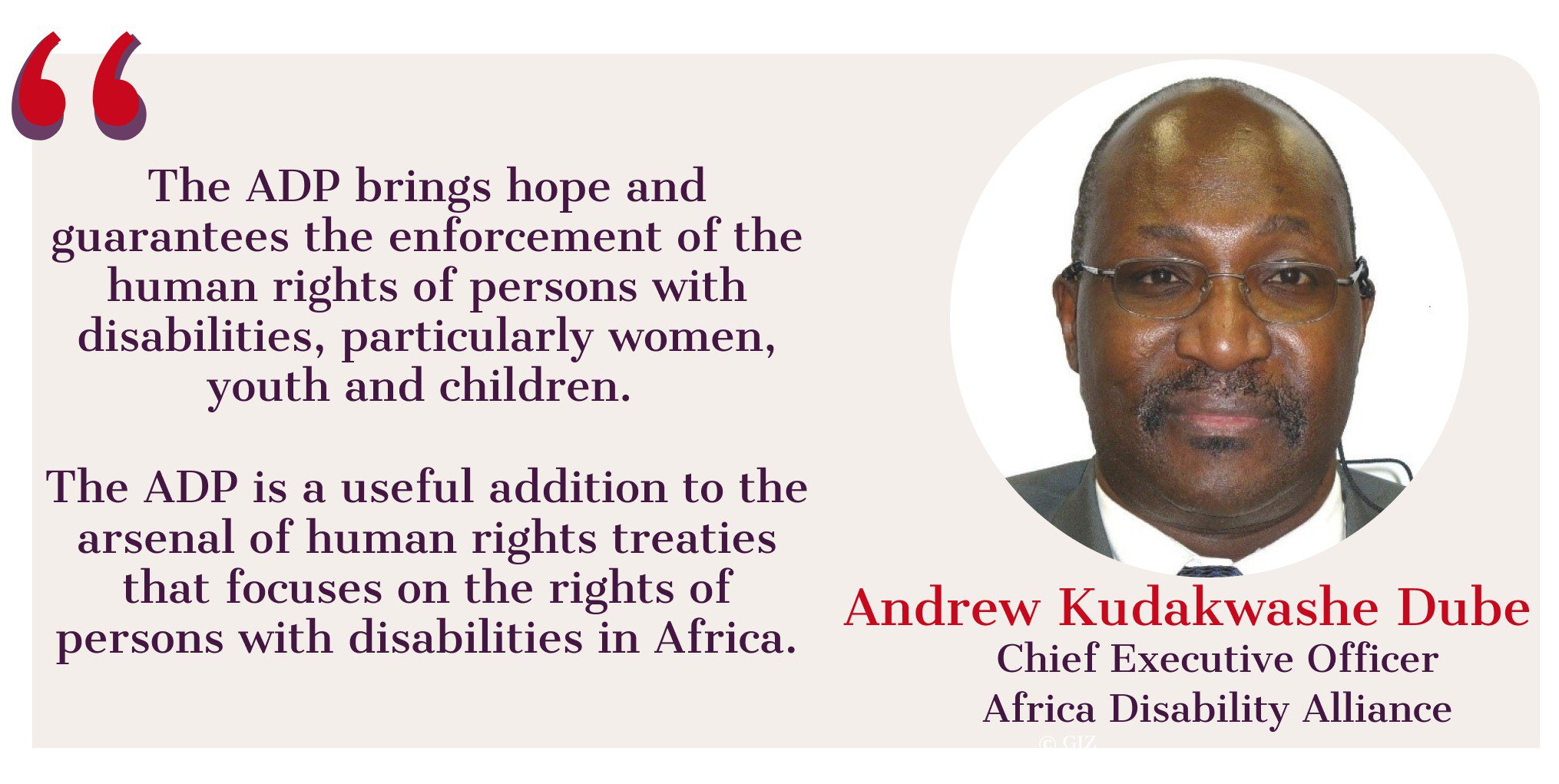 Quotation by the CEO of African Disability Alliance about the ADP. Quote says: