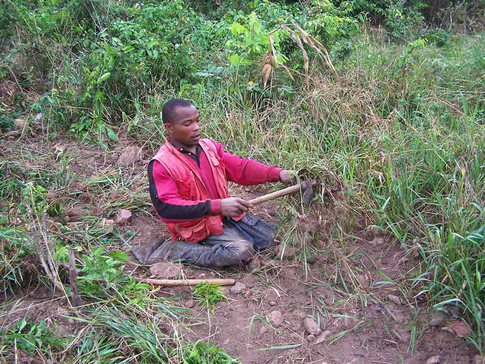 Maclean, an African man, squats in a field holding a hoe (2004) © GIZ / Maclean Dzidzienyo